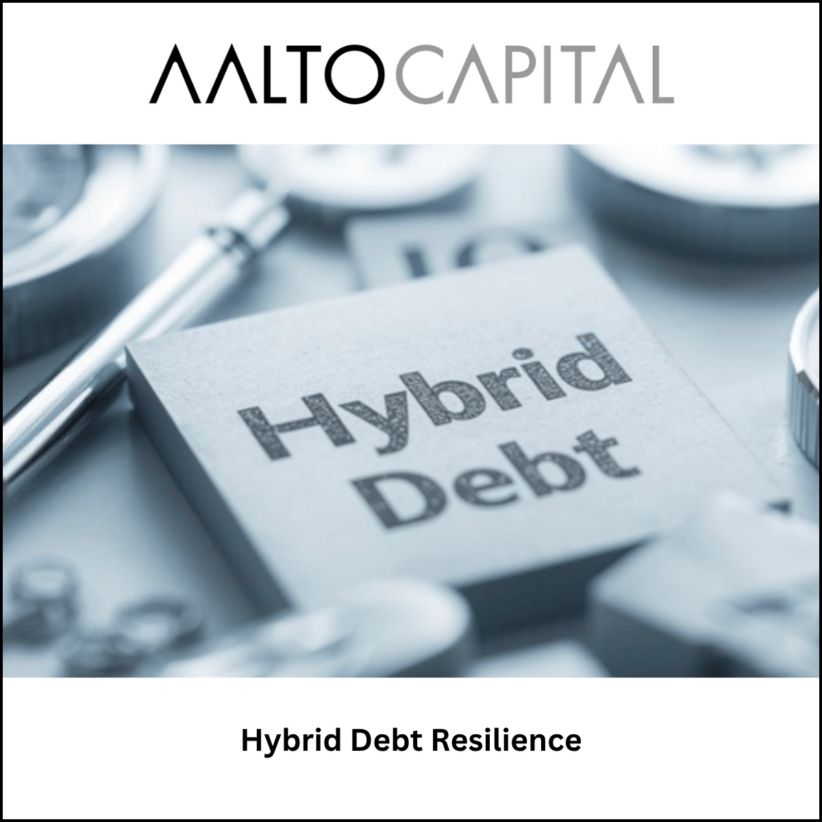Hybrid Debt Resilience